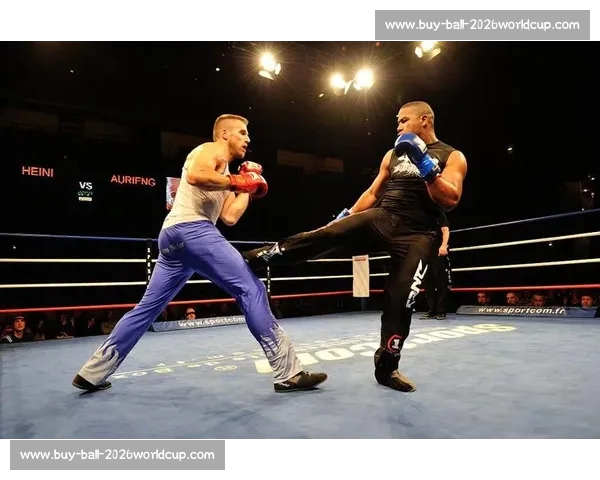 赛法斗：踢击独尊的优雅格斗艺术